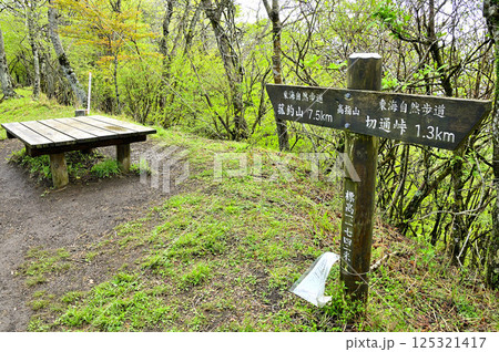 丹沢の甲相国境尾根 新緑の高指山山頂 丹沢の甲相国境尾根 新緑の高指山山頂 125321417