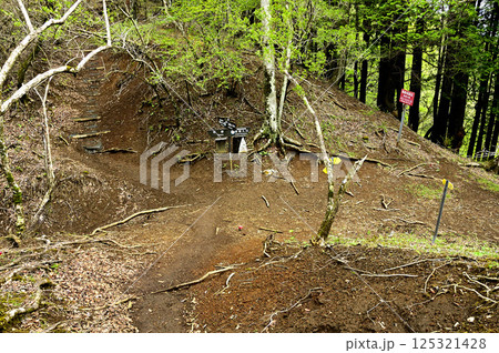 丹沢の甲相国境尾根　切通峠の分岐 125321428