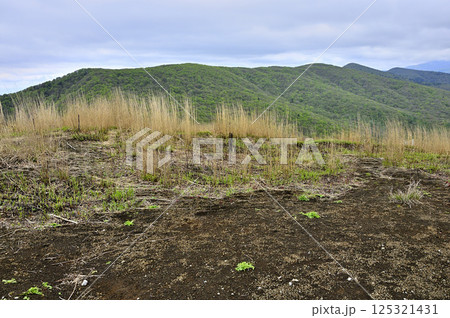 丹沢の甲相国境尾根　鉄砲木ノ頭山頂より望む新緑の三国山稜 125321431