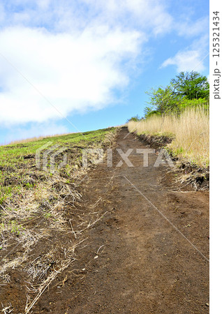 丹沢の鉄砲木ノ頭 甲相国境尾根の山頂へ続く道 丹沢の鉄砲木ノ頭 甲相国境尾根の山頂へ続く道 125321434