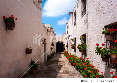 Inner Courtyards and Gardens at Santa Catalina Monastery, Arequipa Inner Courtyards and Gardens at Santa Catalina Monastery, Arequipa 125321537
