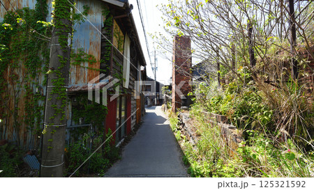 やきもの散歩道(常滑市) やきもの散歩道(常滑市) 125321592