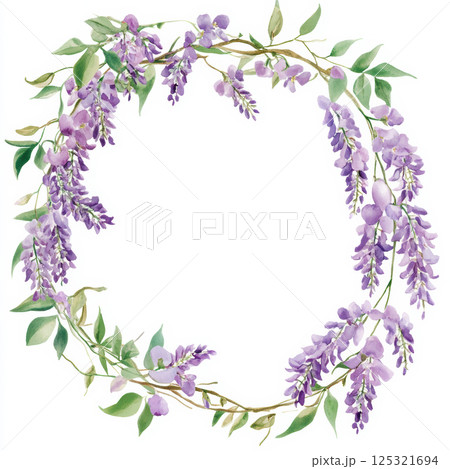 Wisteria light violet color flower frame border watercolor clipart isolated on white background. 125321694