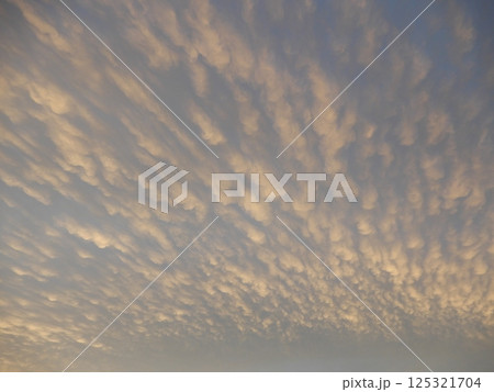 夕暮れの空と雲 夕暮れの空と雲 125321704