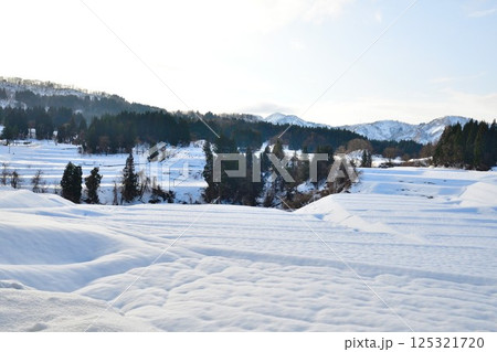 栃尾来伝の棚田　冬景色 125321720
