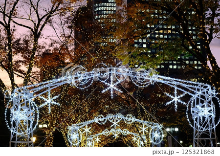 大阪市中央公会堂前の街路樹とイルミネーション 大阪市中央公会堂前の街路樹とイルミネーション 125321868