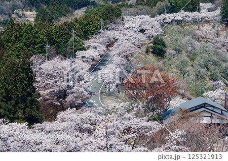 桜山公園 桜山公園 125321913