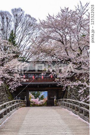 満開の桜が咲く高島城の門 満開の桜が咲く高島城の門 125322028
