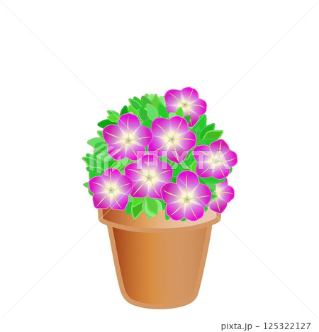 鉢植えのペチュニアのイラスト 鉢植えのペチュニアのイラスト 125322127