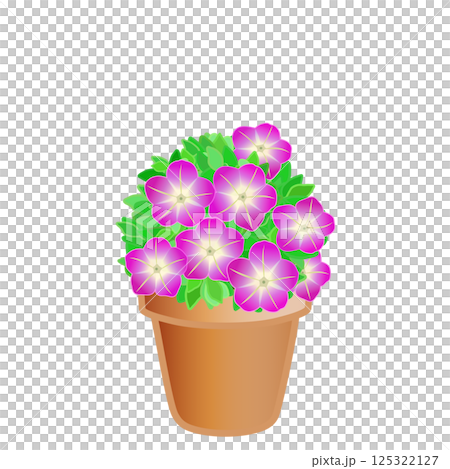 鉢植えのペチュニアのイラスト 鉢植えのペチュニアのイラスト 125322127