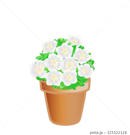 鉢植えのペチュニアのイラスト 125322128