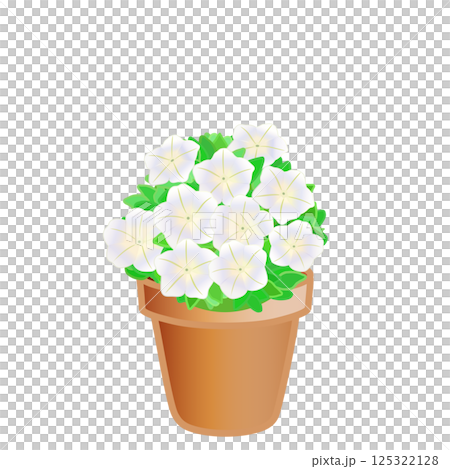 盆栽矮牽牛的插圖 盆栽矮牽牛的插圖 125322128