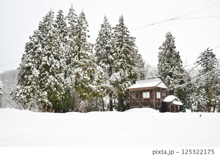 高柳かやぶき環状集落の雪景色(新潟県) 高柳かやぶき環状集落の雪景色(新潟県) 125322175
