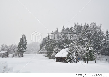 高柳かやぶき環状集落の雪景色(新潟県) 高柳かやぶき環状集落の雪景色(新潟県) 125322180