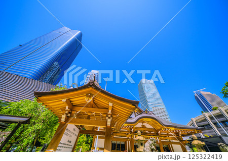 日本の東京都市景観 麻布台ヒルズや八幡神社などを望む 日本の東京都市景観 麻布台ヒルズや八幡神社などを望む 125322419