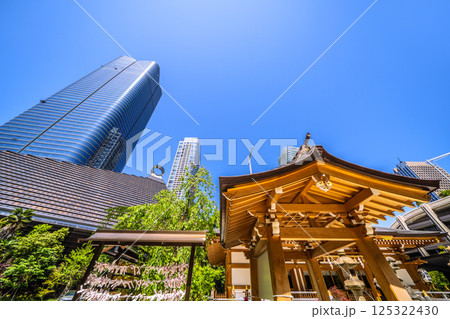 日本の東京都市景観 麻布台ヒルズや八幡神社などを望む 日本の東京都市景観 麻布台ヒルズや八幡神社などを望む 125322430
