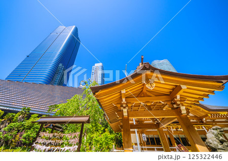 日本の東京都市景観 麻布台ヒルズや八幡神社などを望む 日本の東京都市景観 麻布台ヒルズや八幡神社などを望む 125322446