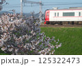 桜と走る電車 125322473