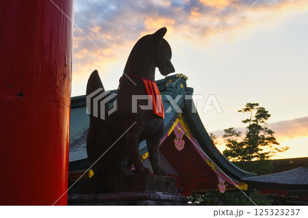 京都　伏見稲荷大社　美しい夕焼けと狛狐（京都府京都市伏見区） 125323237