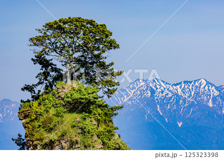 富山県　雨晴海岸から望む立山連峰 125323398