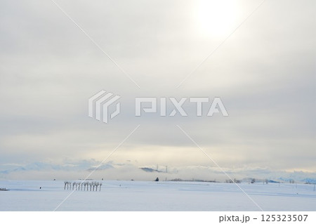 池ケ原のはさ木（新潟県） 125323507