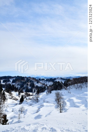 蒲生の棚田 雪景色(新潟県) 蒲生の棚田 雪景色(新潟県) 125323824