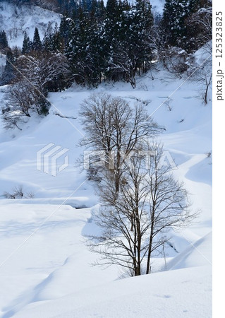 蒲生の棚田 雪景色(新潟県) 蒲生の棚田 雪景色(新潟県) 125323825