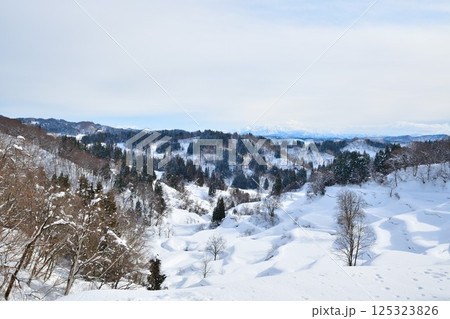 蒲生の棚田 雪景色(新潟県) 蒲生の棚田 雪景色(新潟県) 125323826