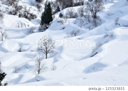 蒲生の棚田　雪景色（新潟県） 125323831