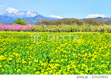 小布施橋付近より飯縄山(飯綱山)、霊仙寺山方面を望む(長野県小布施町)【2025.4】 小布施橋付近より飯縄山(飯綱山)、霊仙寺山方面を望む(長野県小布施町)【2025.4】 125324032