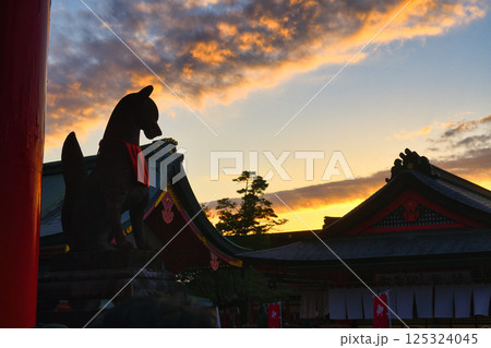 京都 伏見稲荷大社 美しい夕焼けと狛狐(京都府京都市伏見区) 京都 伏見稲荷大社 美しい夕焼けと狛狐(京都府京都市伏見区) 125324045