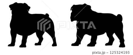 Bulldog in different poses. Dog breed silhouette. Bulldog in different poses. Dog breed silhouette. 125324193