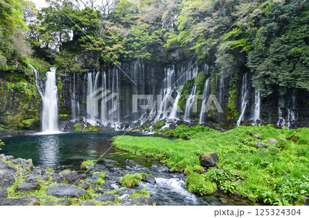 静岡県富士宮市の白糸の滝 125324304