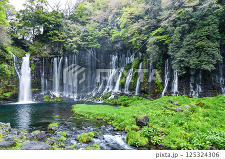 静岡県富士宮市の白糸の滝 静岡県富士宮市の白糸の滝 125324306