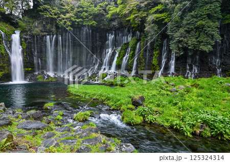 静岡県富士宮市の白糸の滝 静岡県富士宮市の白糸の滝 125324314
