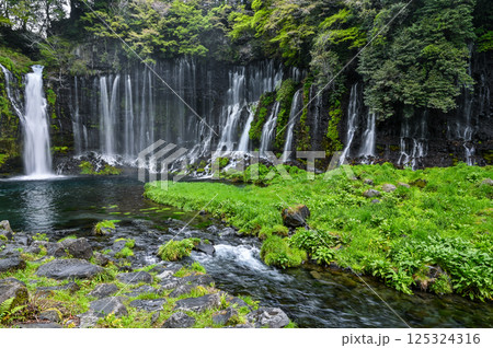 静岡県富士宮市の白糸の滝 125324316