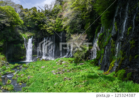 静岡県富士宮市の白糸の滝 静岡県富士宮市の白糸の滝 125324387