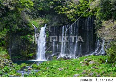 静岡県富士宮市の白糸の滝 静岡県富士宮市の白糸の滝 125324402