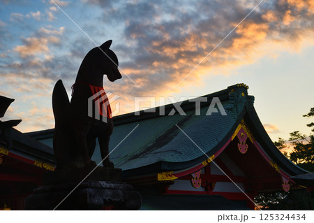 京都　伏見稲荷大社　美しい夕焼けと狛狐（京都府京都市伏見区） 125324434