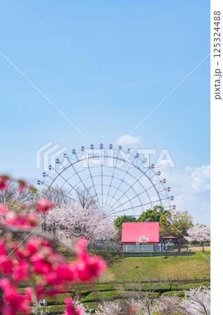 春の愛・地球博記念公園、満開のハナモモ〈愛知県長久手市〉 春の愛・地球博記念公園、満開のハナモモ〈愛知県長久手市〉 125324488