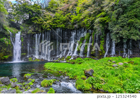 静岡県富士宮市の白糸の滝 125324540