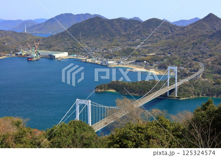【愛媛県】桜咲く春のカレイ山展望公園から眺めた 大島大橋（しまなみ海道） 125324574