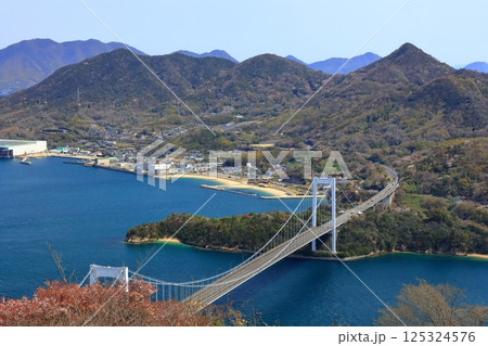 【愛媛県】桜咲く春のカレイ山展望公園から眺めた 大島大橋（しまなみ海道） 125324576