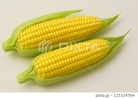 採れたてのトウモロコシ 採れたてのトウモロコシ 125324764