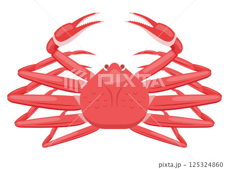 カニのイラスト 125324860