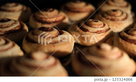 Close-up of freshly baked cinnamon rolls in the oven. Close-up of freshly baked cinnamon rolls in the oven. 125324866