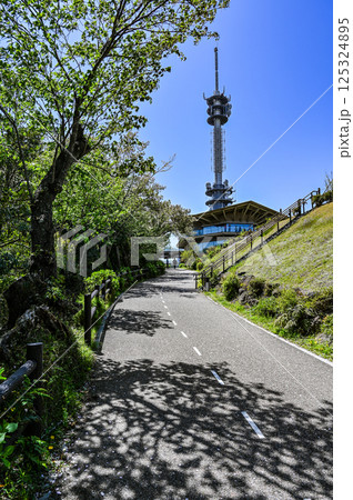 静岡日本平からの富士山 静岡日本平からの富士山 125324895
