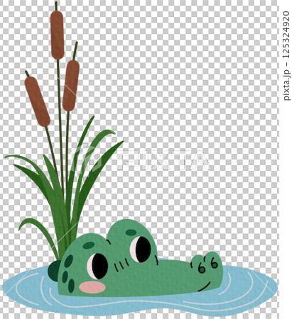 Green crocodile in the water. Cartoon alligator looks out of the water. Reeds. Kid vector illustration on white background. 125324920