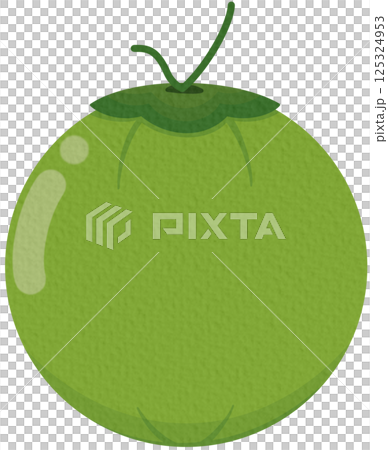Green Coconut. Coconut logo design. Coconut vector. Coconut on white background. 125324953