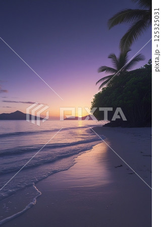 夜明けのビーチ 夜明けのビーチ 125325031